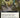Chivalric Alliance (Extended Art) - Commander: March of the Machine (MOC)
